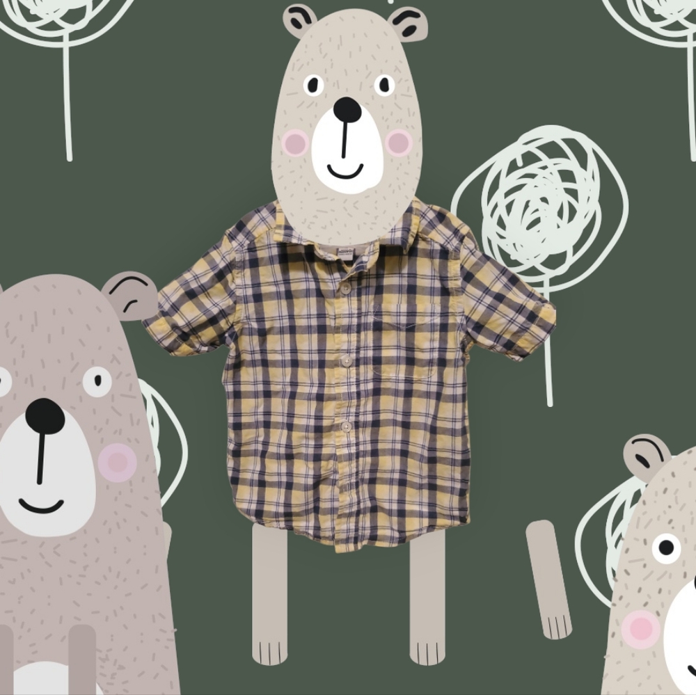 The Children's Place Casual Button Down Shirt 2T